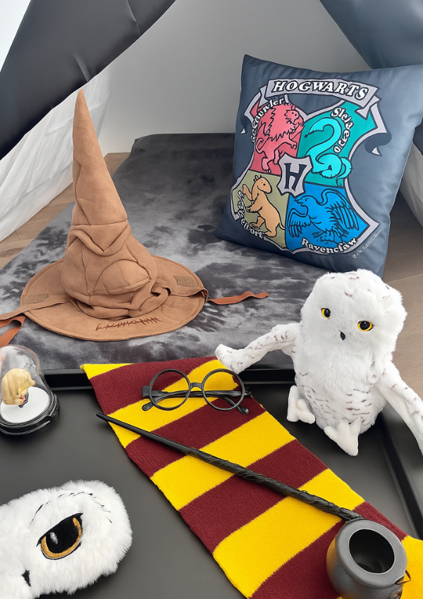 Anniversaire Harry Potter Paris