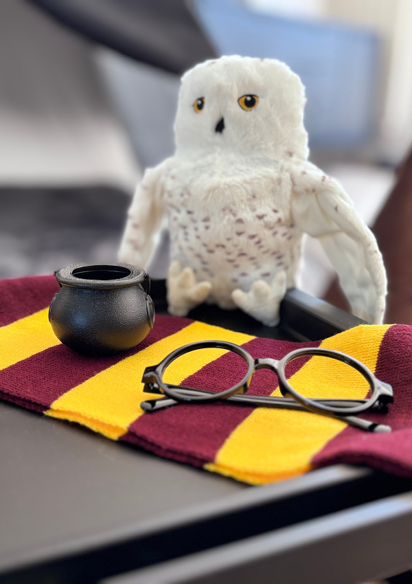 Anniversaire Harry Potter Paris