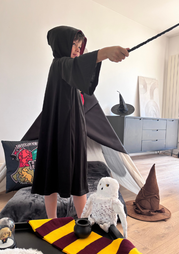 Anniversaire Harry Potter Paris