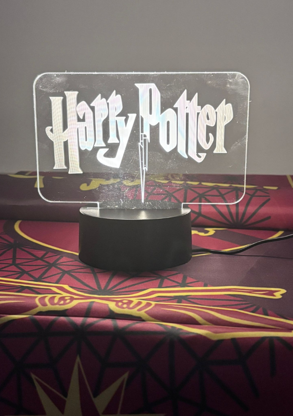Anniversaire Harry Potter Paris